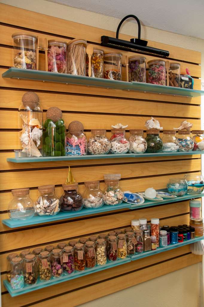 Shelves of botanicals, shells and pigments on a slatted wall
